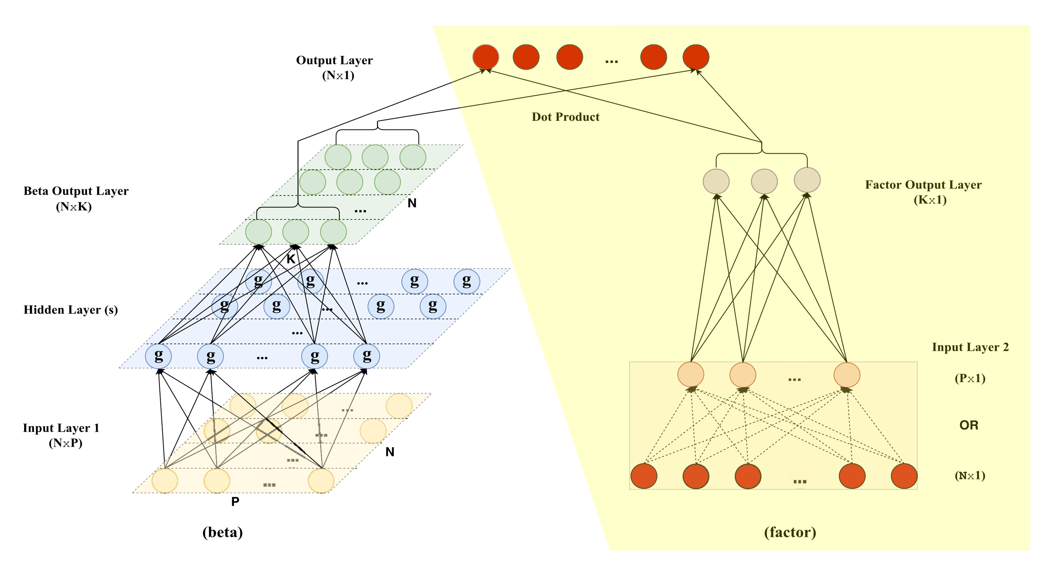 autoencoder part of GKX model